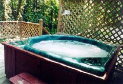 The Bubbly Hot Tub